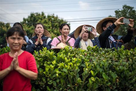 大凶日|【2022年大凶日】挑日子一定要避開「這8天」：安排大事易不順。